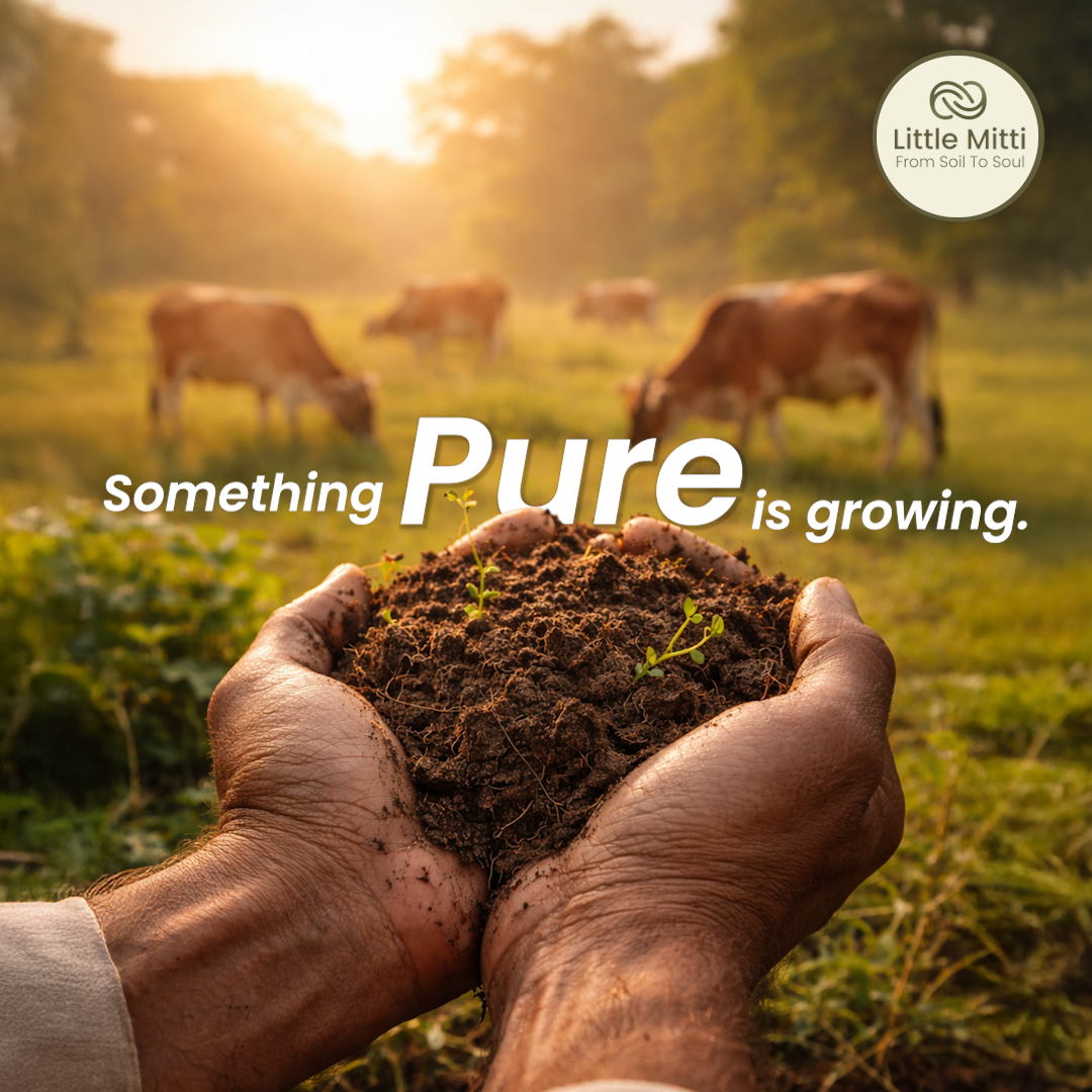 India Doesn’t Have a Milk Problem. It Has a Farmer Income Problem